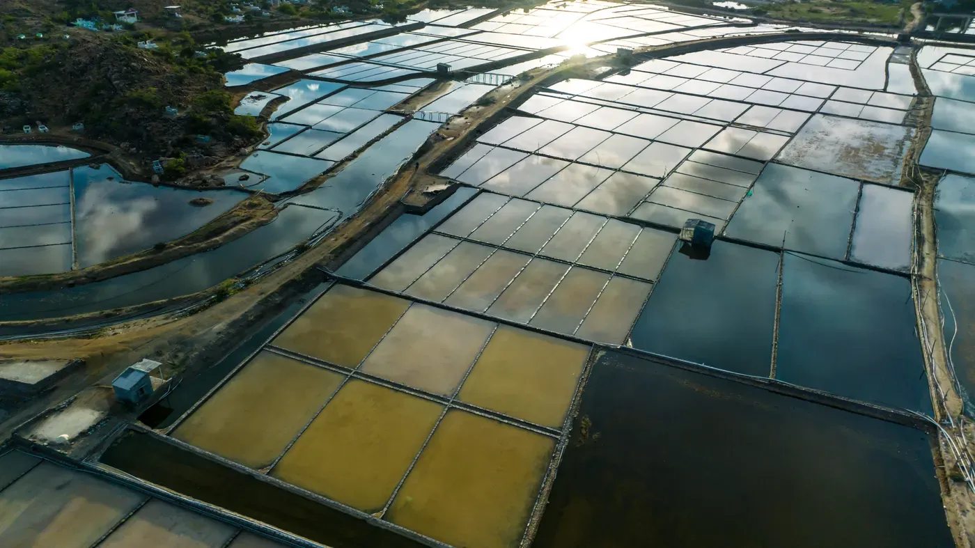 Aerial view of aquaculture ponds holding still water under a morning sky, seen from above